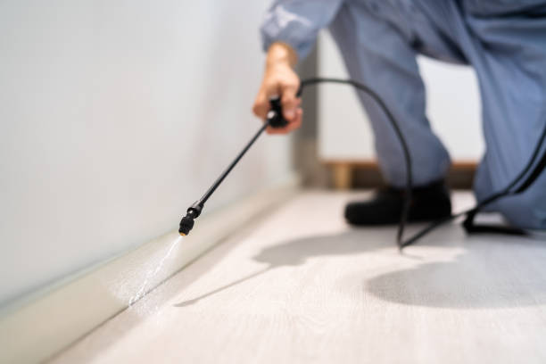 Licensed Pest Control service in Pleasant Hill, PA - Show Me Pest Control